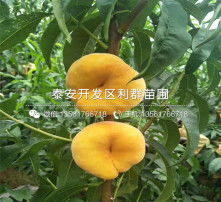 高清圖片